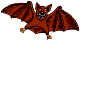 en savoir plus sur les chauves-souris