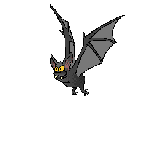 en savoir plus sur les chauves-souris